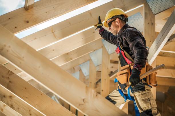 Best Roof Gutter Cleaning  in Lacoochee, FL