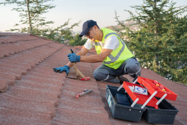 Professional Roofing Contractor in Lacoochee, FL