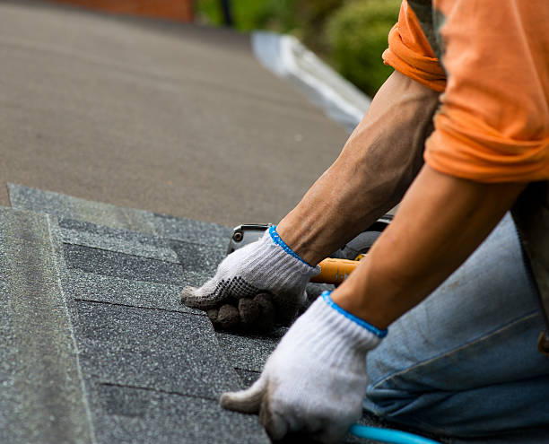 Best Flat Roof Repair Services  in Lacoochee, FL
